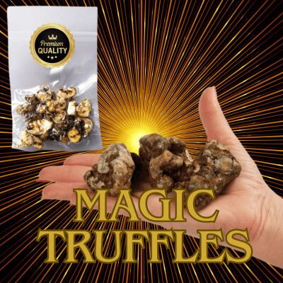 Highest quality magic truffles