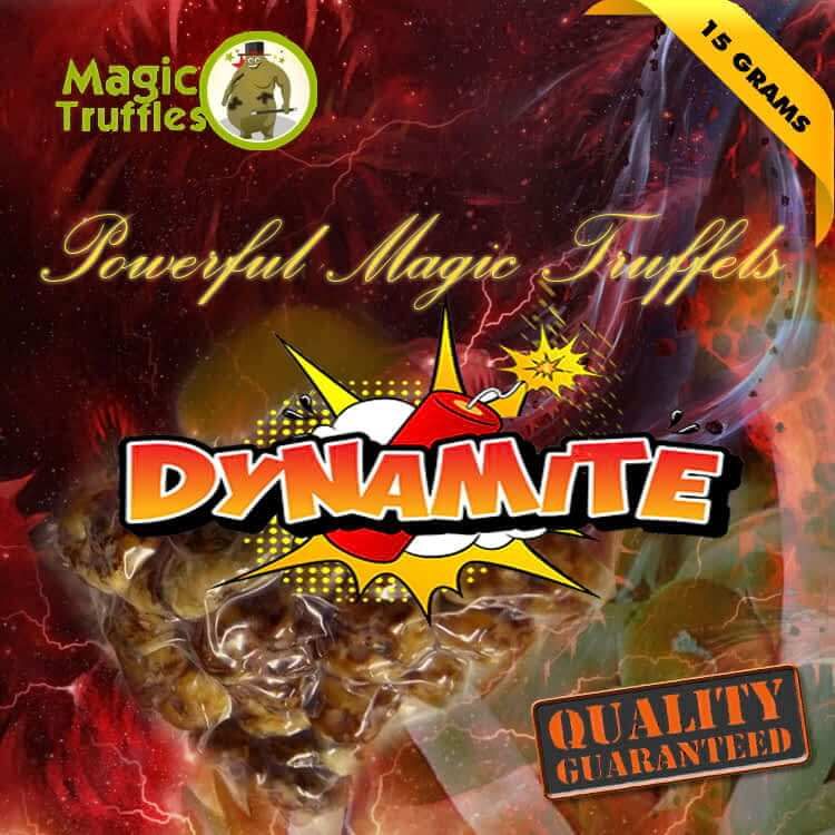 Magic Truffles Dynamite Packaging – Strongest Hallucinogenic Truffles for Visuals & Euphoria