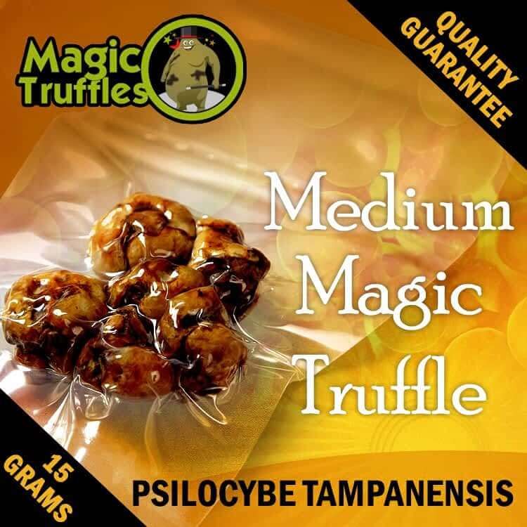 Tampanensis Magic Truffles Packaging – Psychedelic Experience for Beginners