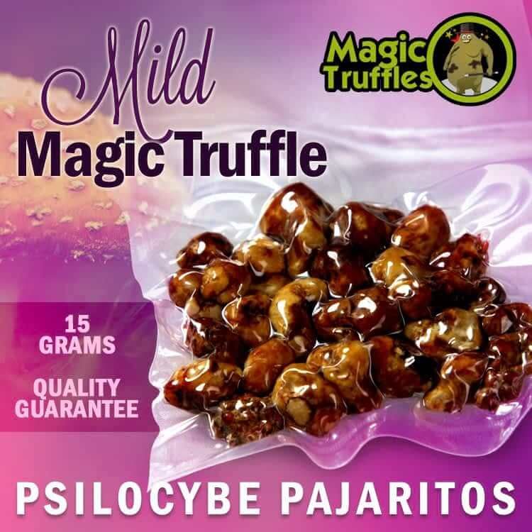 Pajaritos Magic Truffles Packaging – Mild Psychedelic Effects for Beginners