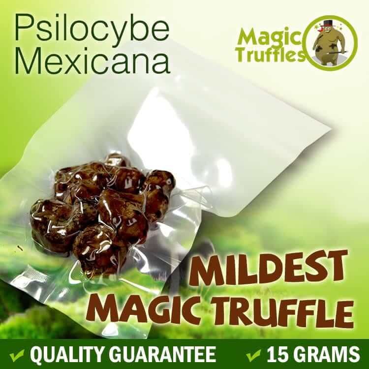 Mexicana Magic Truffles Packaging – Light Psychedelic Effects for Beginners
