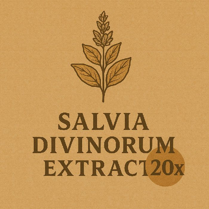 Salvia Divinorum Extract 20x (1 gram) Powerful 20x Salvia divinorum made in our lab