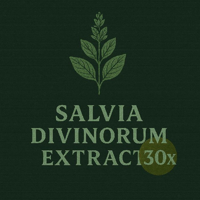 Salvia Divinorum Extract 30x (0.5 gram) Intense 30x Salvia extract for experienced users