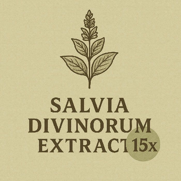 Salvia Divinorum Extract 15x (1 gram) 15x Salvia extract crafted for spiritual exploration