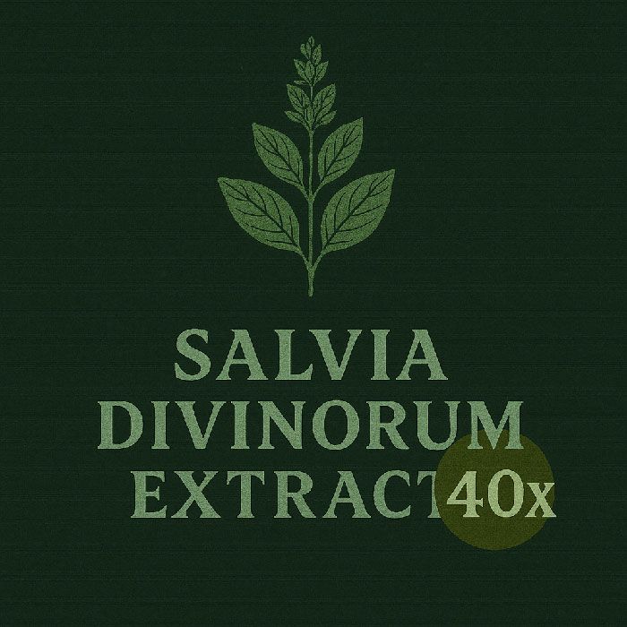 Salvia Divinorum Extract 40x (0.5 gram) Strongest 40x Salvia divinorum extract handcrafted in-house