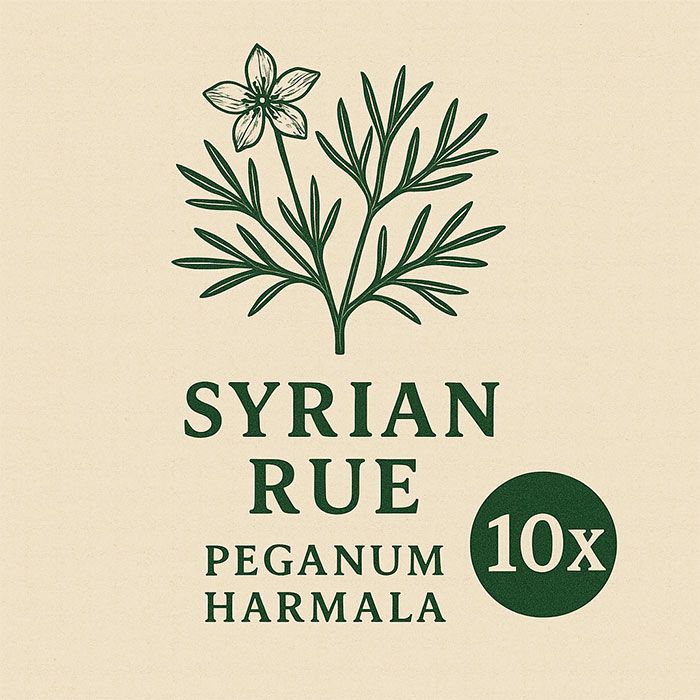 Image of Syrian Rue 10X Extract – natural MAO inhibitor from Peganum harmala seeds.