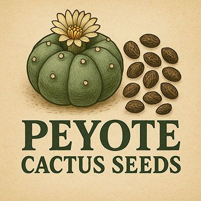 Peyote cactus seeds label with blooming Lophophora and mescaline-rich seeds – includes Williamsii, Fricii, Diffusa and more.