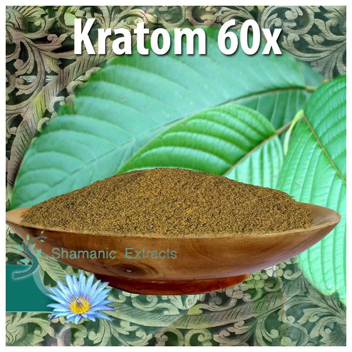 Full Spectrum Kratom 60X Extract – ultra-fine Borneo powder rich in Mitragynine and 7-OH