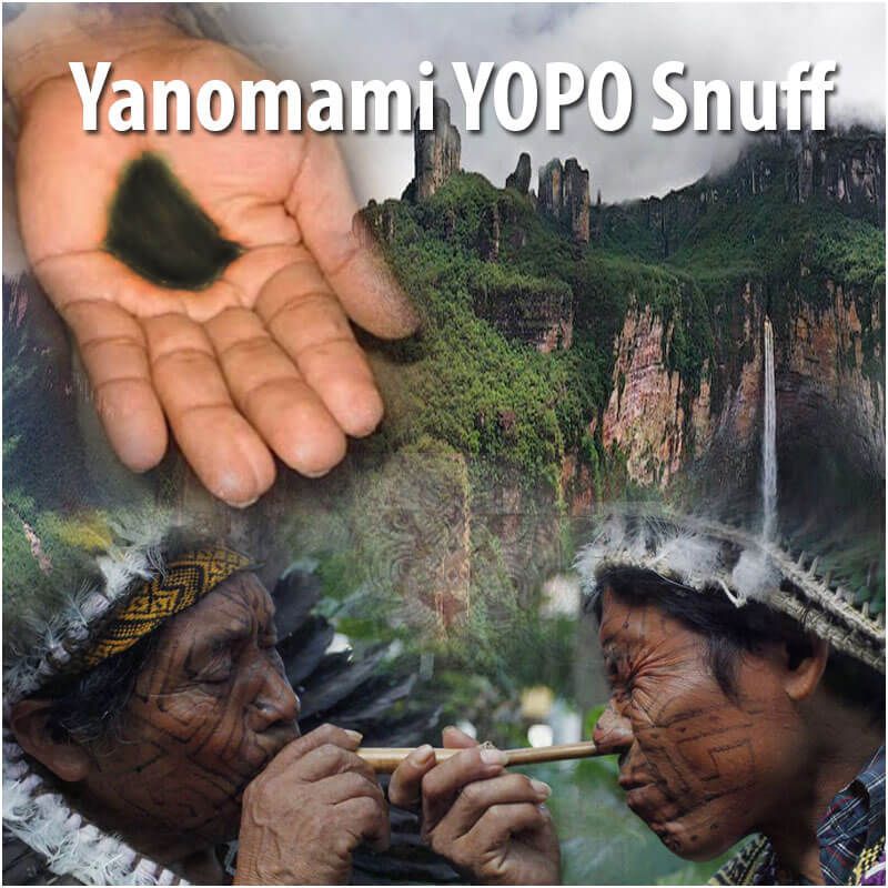 Authentic Yanomami YOPO Snuff 1g – traditional Amazonian shamanic preparation