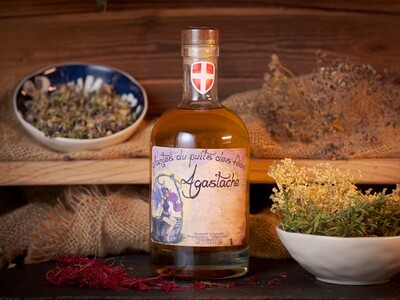 agastache 00018