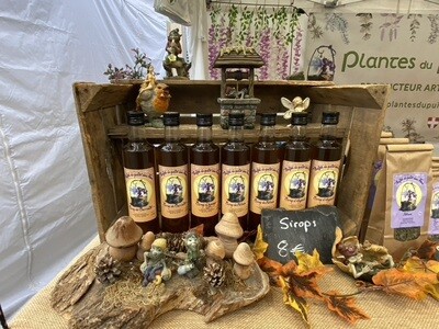 sirop de sureau 00023