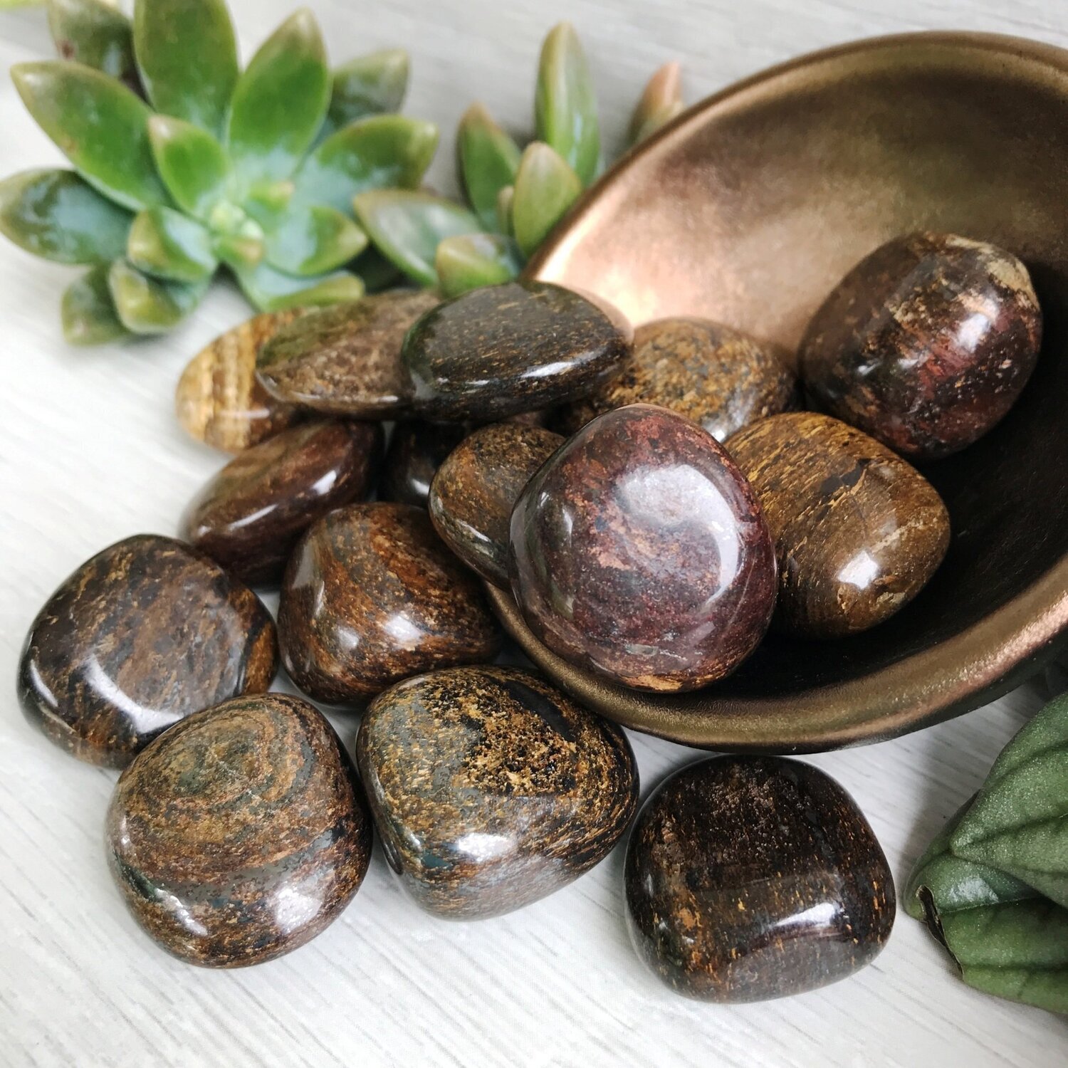 Bronzite
