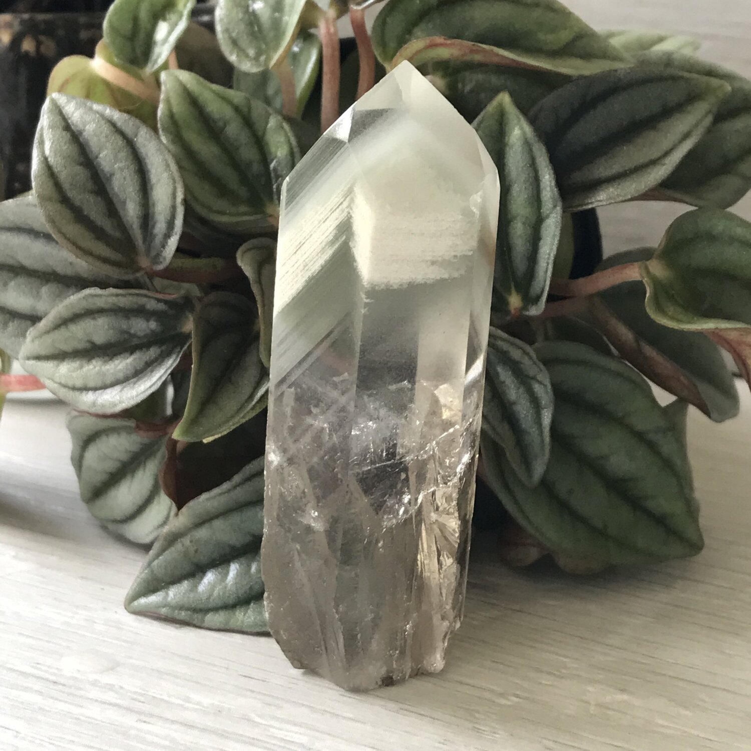 Phantom Quartz