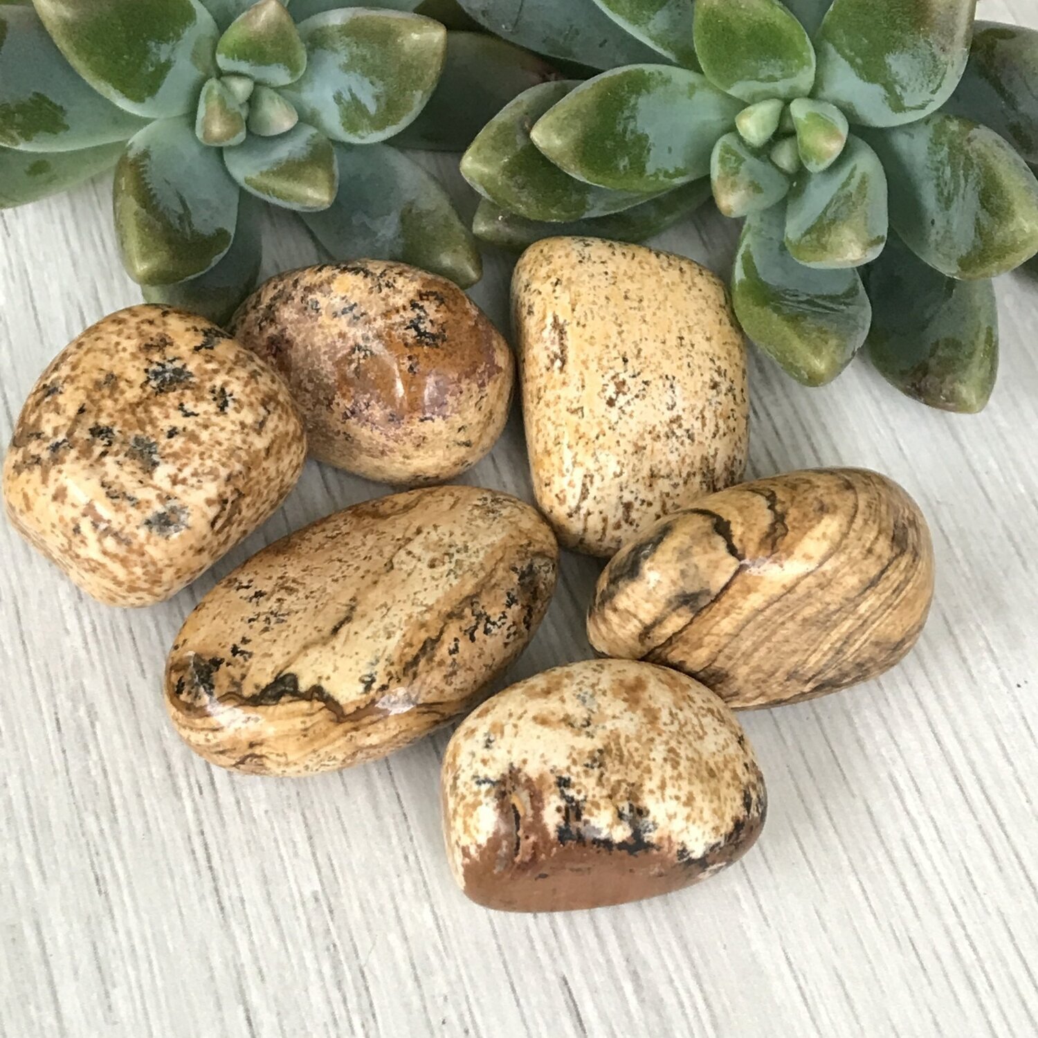 Picture Jasper