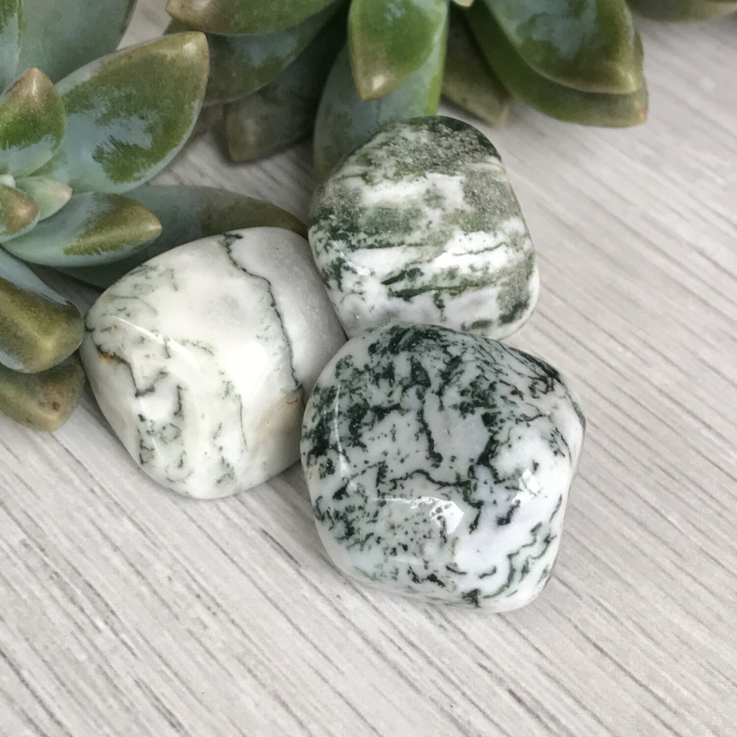 Tree Agate