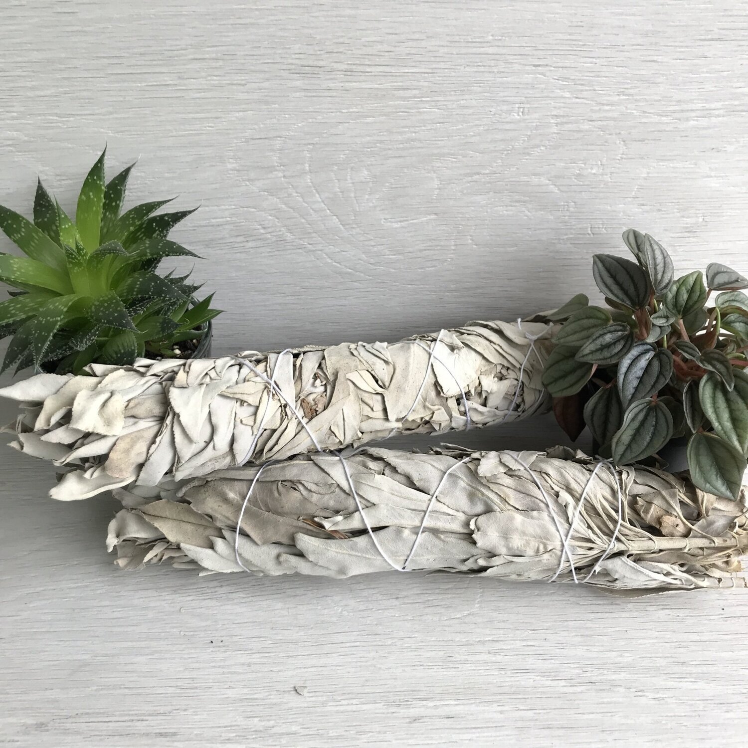 White Sage Smudge Stick, Large
