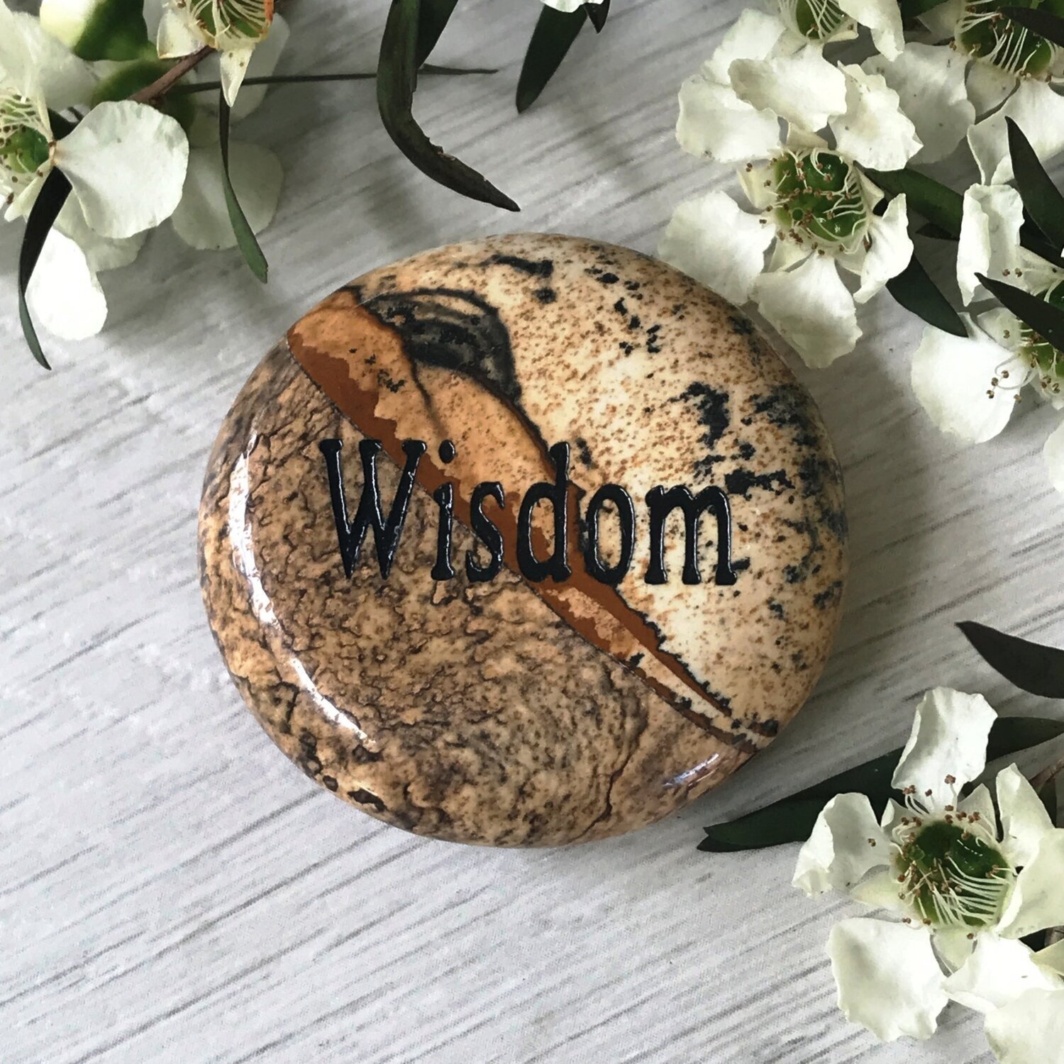 Wisdom - Picture Jasper