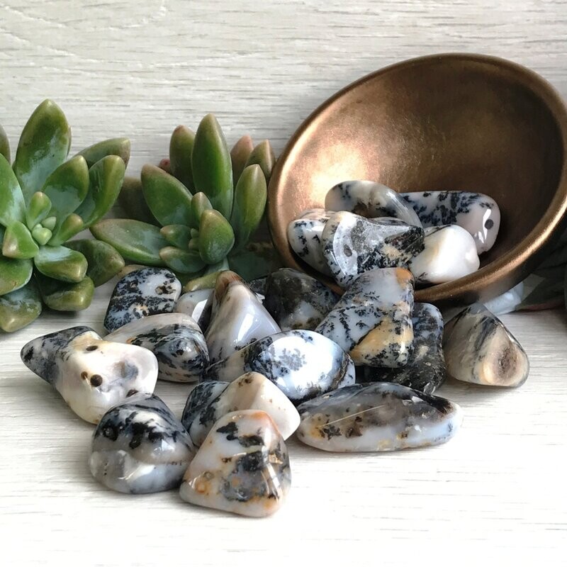 Dendritic Agate