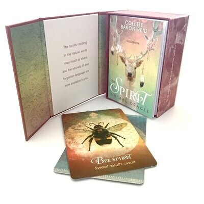 Oracle Cards
