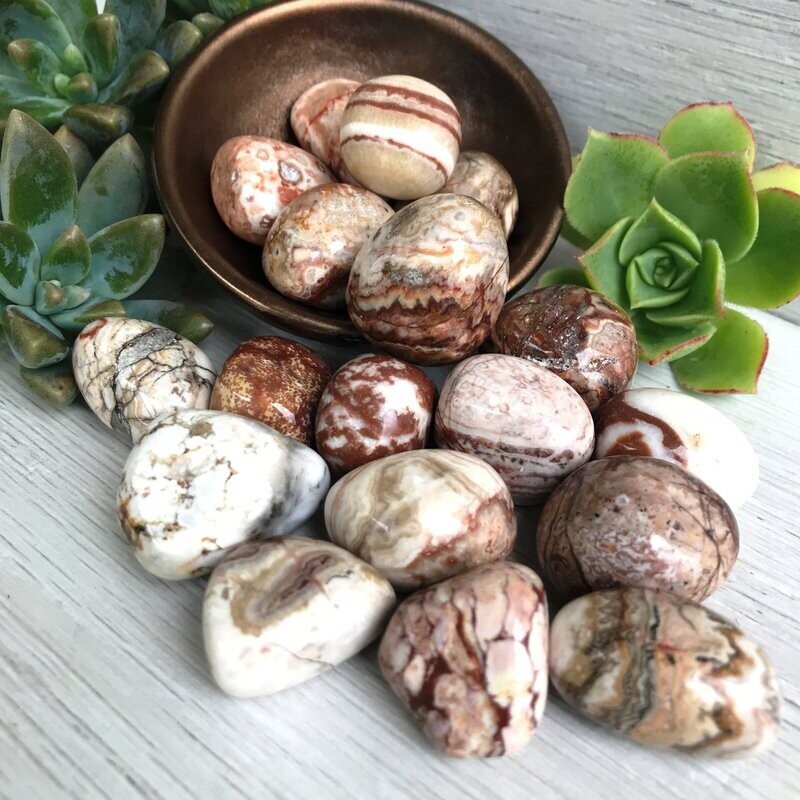 Rosetta Jasper