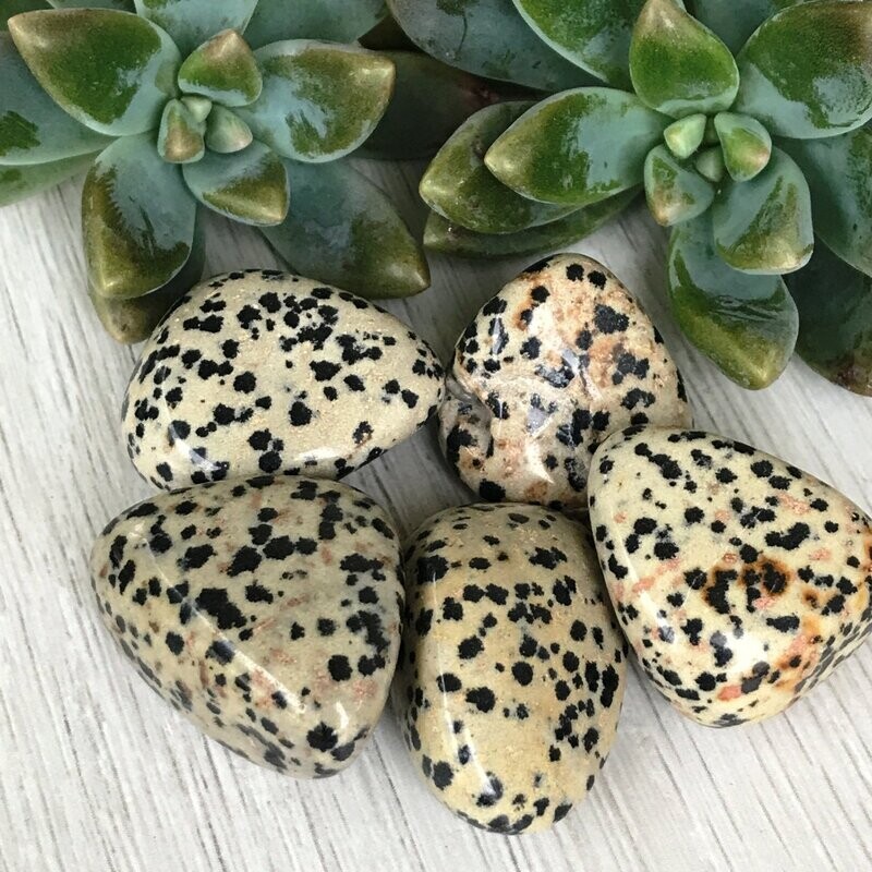Dalmation Stone, Yellow