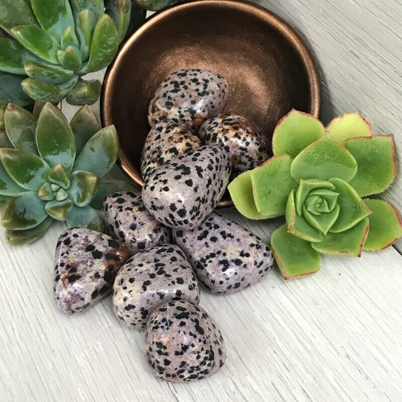 Dalmation Stone, Purple