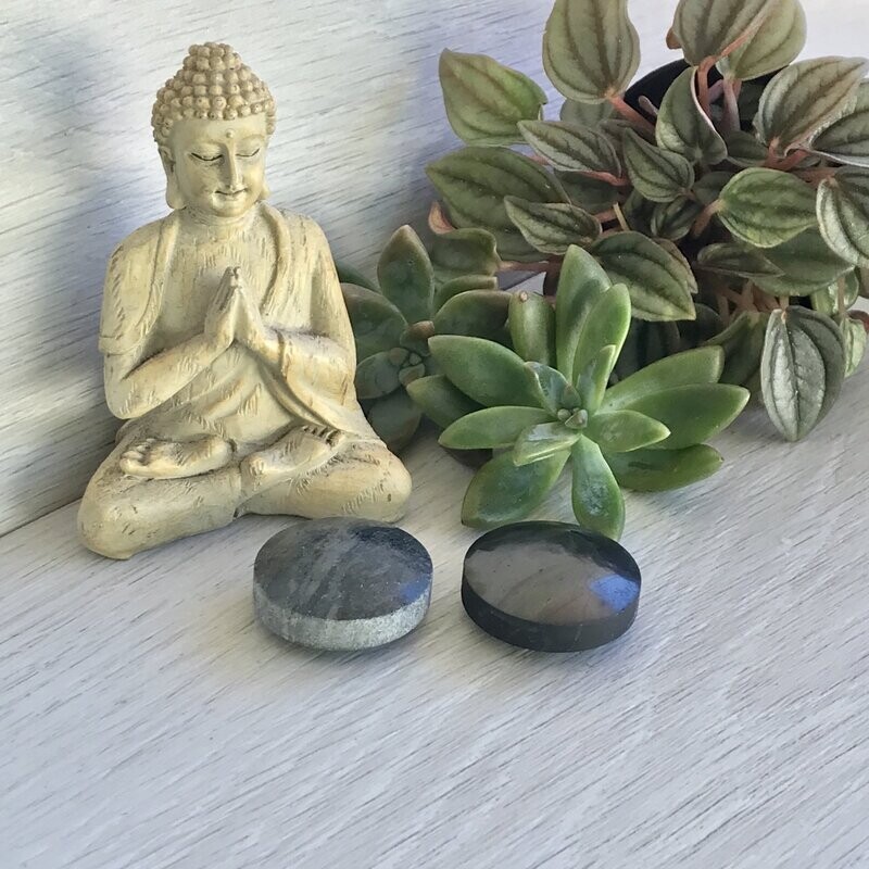 Shungite Pocket Energy Harmonisers