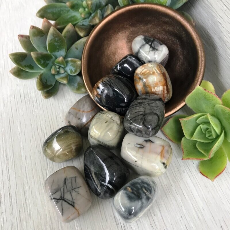 Picasso Jasper