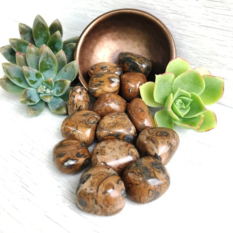 Lion Jasper