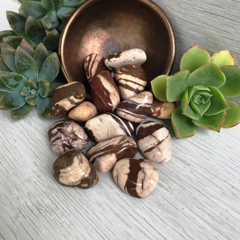Zebra Jasper, Brown