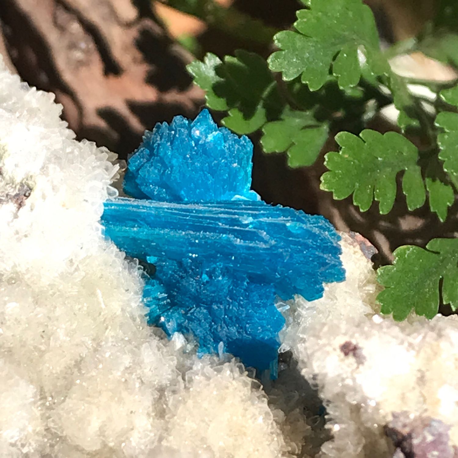 Cavansite