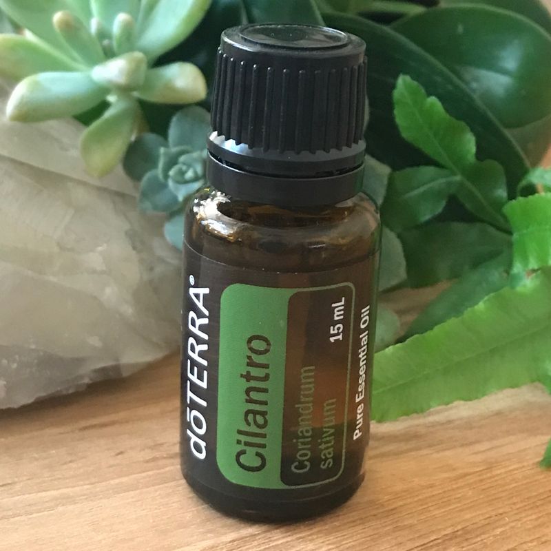 doTERRA Cilantro