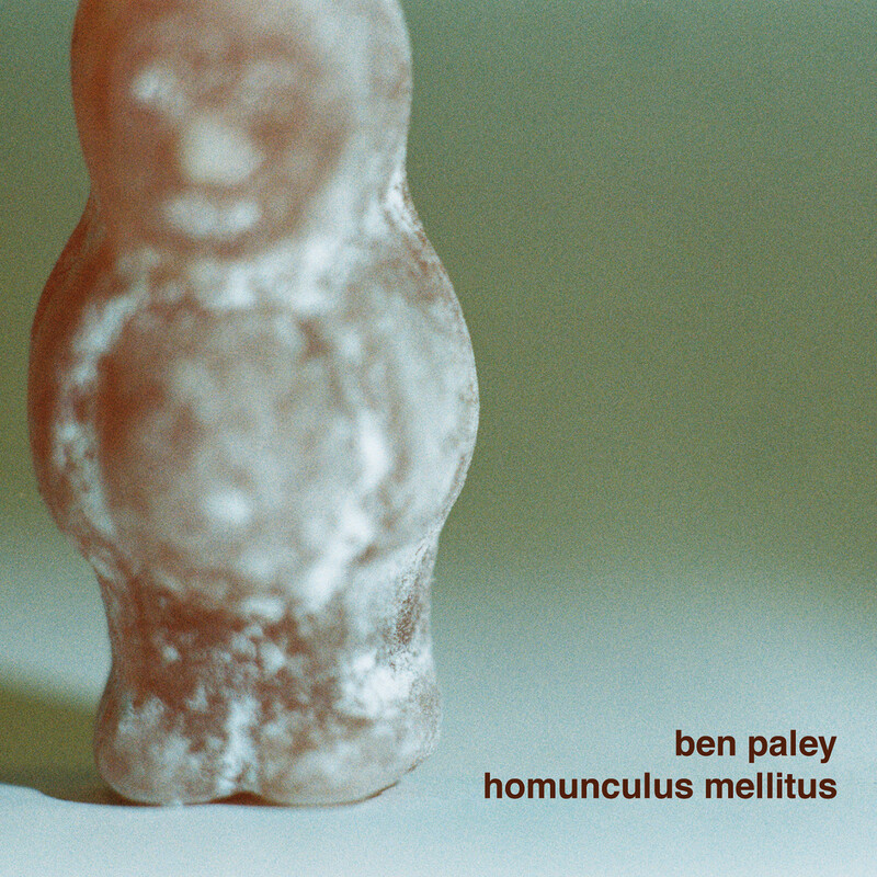 Homunculus Mellitus