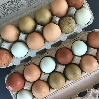 Farm Egg Casserole (NF)