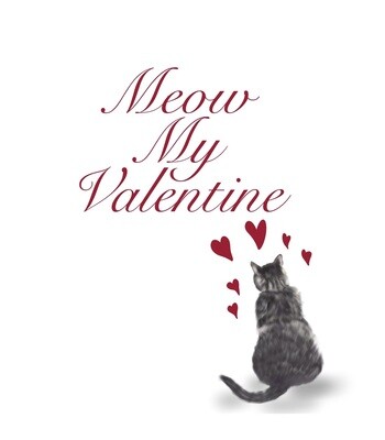 Meow  My Valentine Card