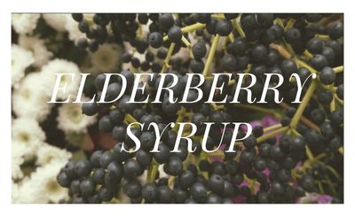Elderberry Syrup