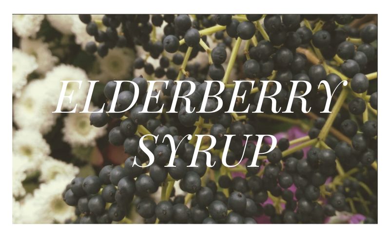 Elderberry Syrup