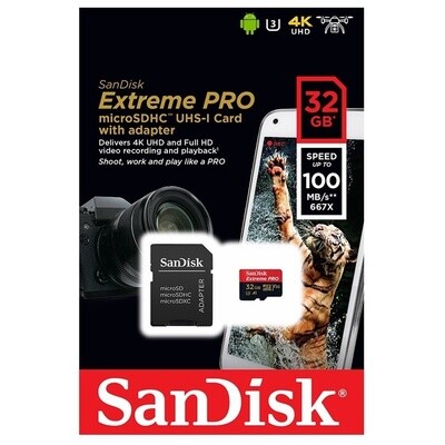 SanDisk microSD Card with Adapter