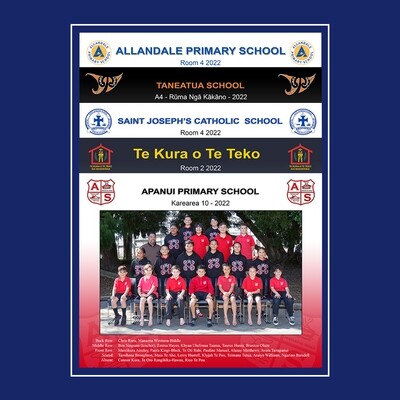 Primary School &amp; Kura