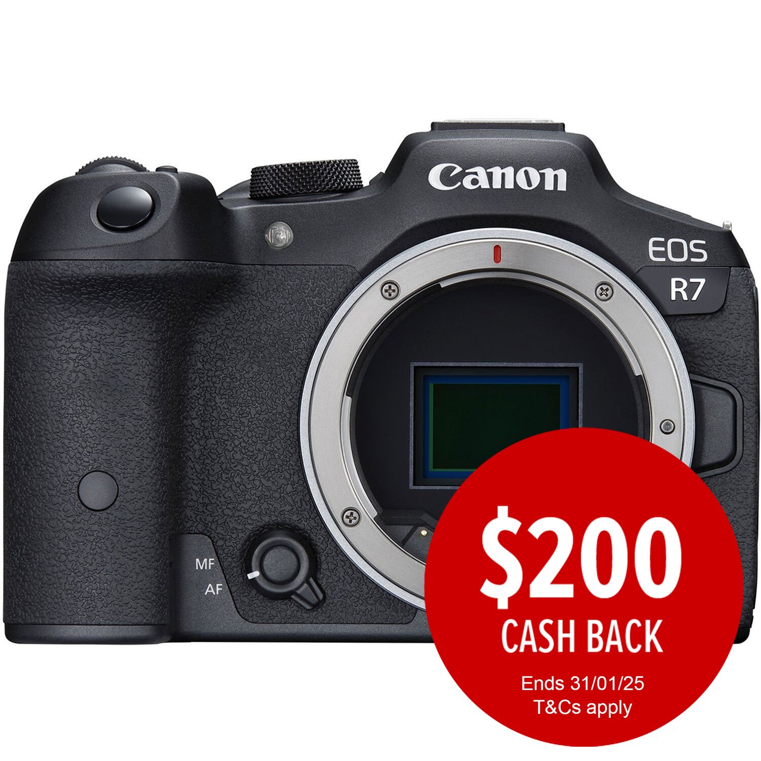 Canon EOS R7 (Body Only)