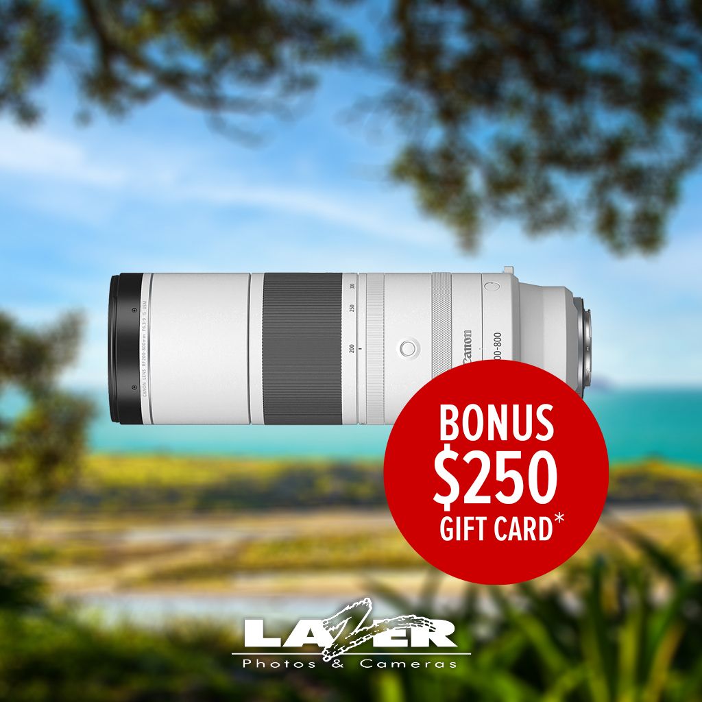 Canon RF 200-800 F6.3-9 IS USM Lens