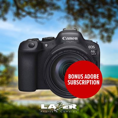 Canon EOS R6 Mark II with 24-105mm f4 L IS USM Lens