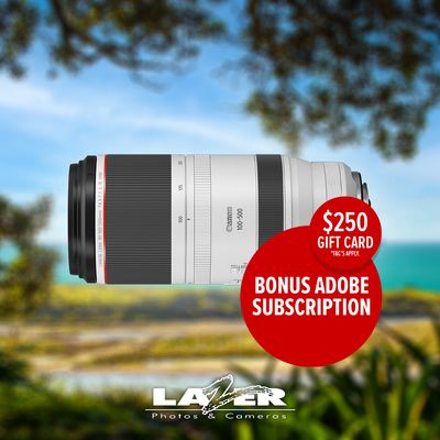 Canon RF 100-500mm F4.5-7.1L IS USM Lens