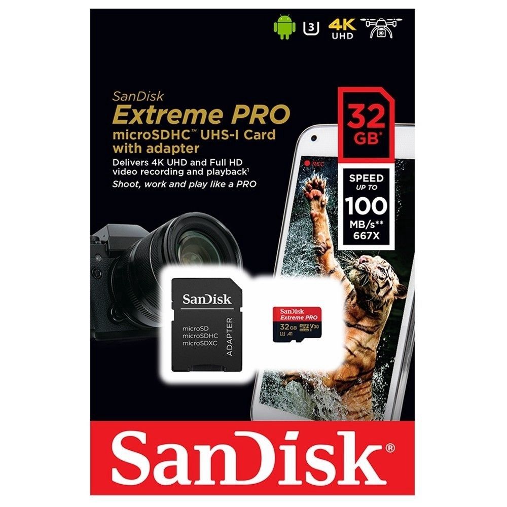 SanDisk microSD Card with Adapter, Size: 32GB
