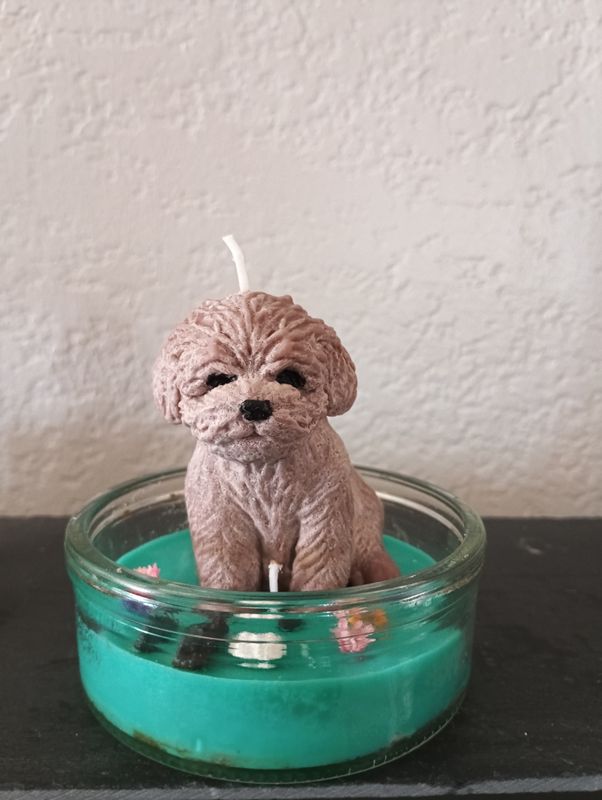Bougie cire de soja : sans parfum