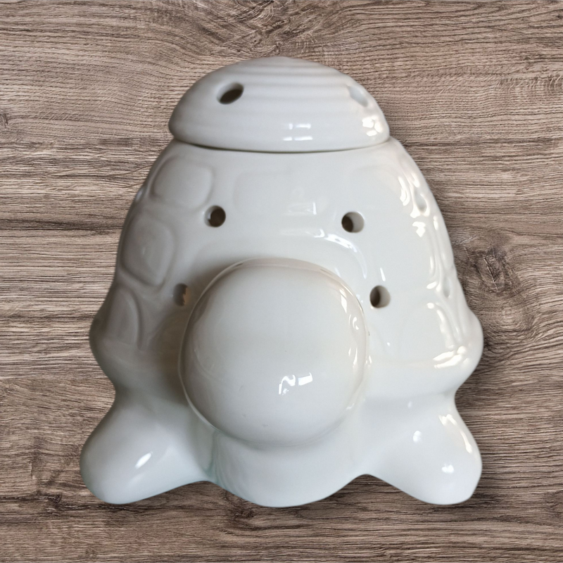 Brûleur - tortue - Franklin