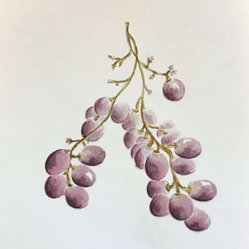 Aquarel Babylonische ICT