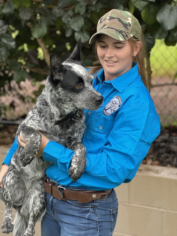 Pilbara Work Shirt - &quot;Azure&quot;