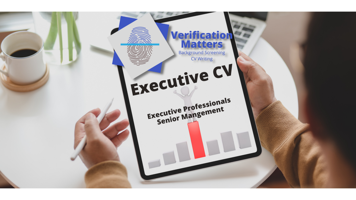 CV Writing &amp; Design (Executive)