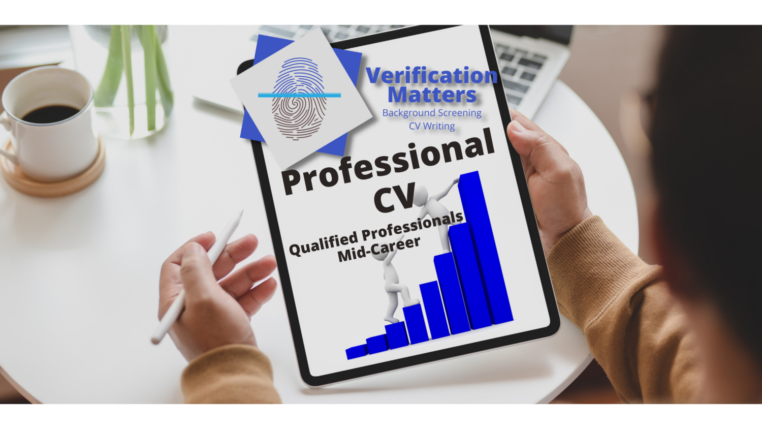 CV Writing &amp; Design (Professional)